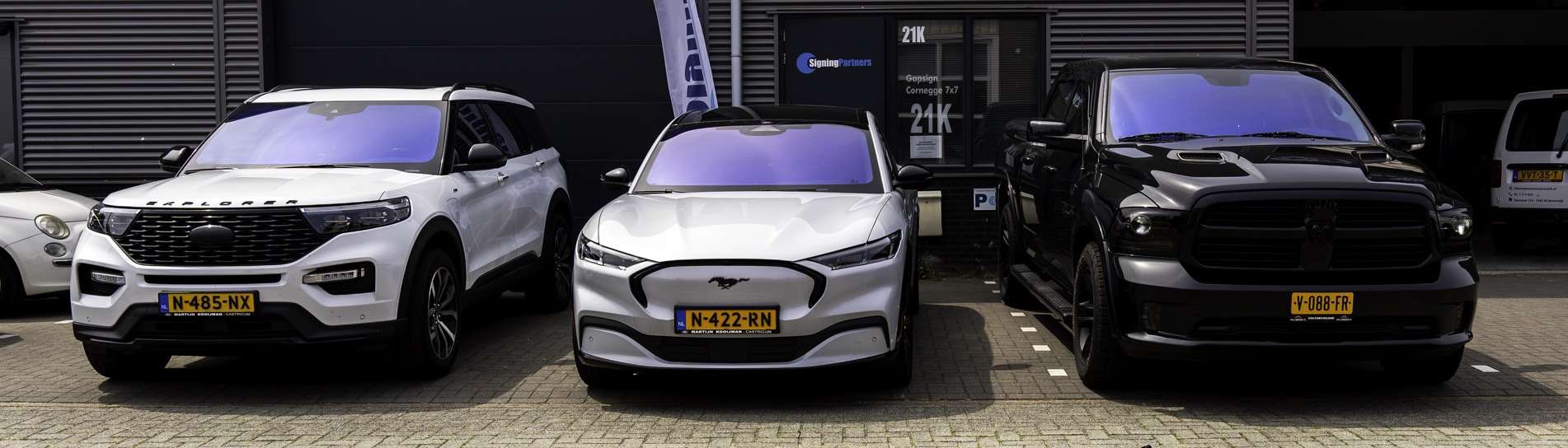 Chameleon folie op voorruit